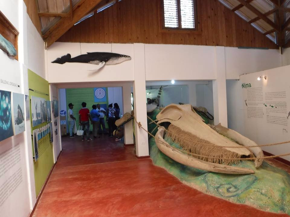 Museo de la Ballena景点图片