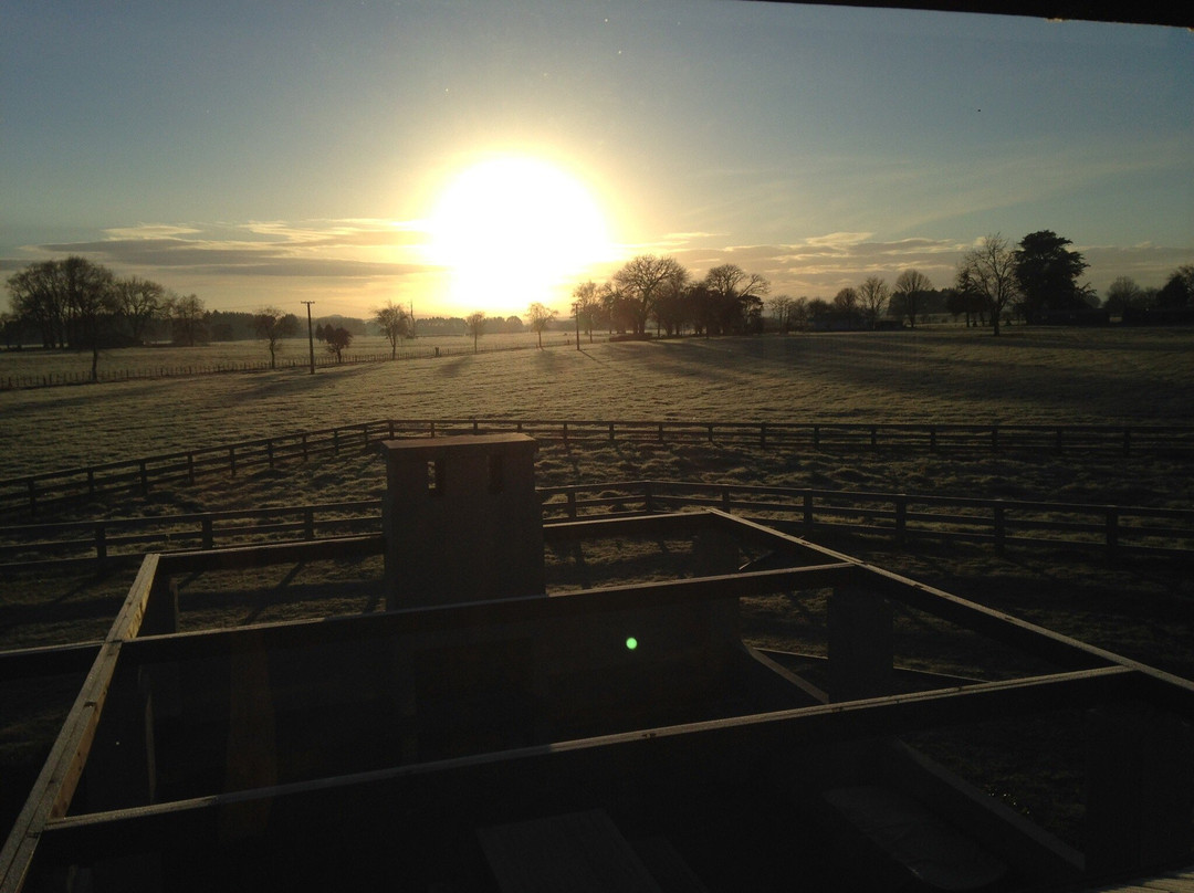 Nourish Bed and Breakfast主图