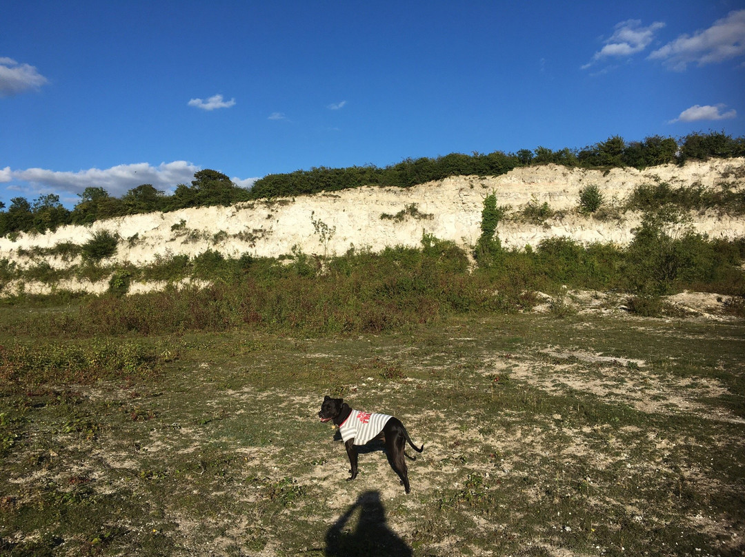 Cherry Hinton Chalk Pits景点图片