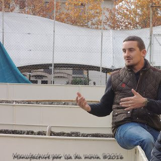 Arénes du Plumaçon景点图片
