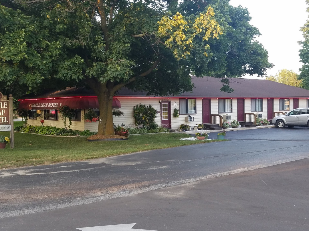 Maple Leaf Motel主图