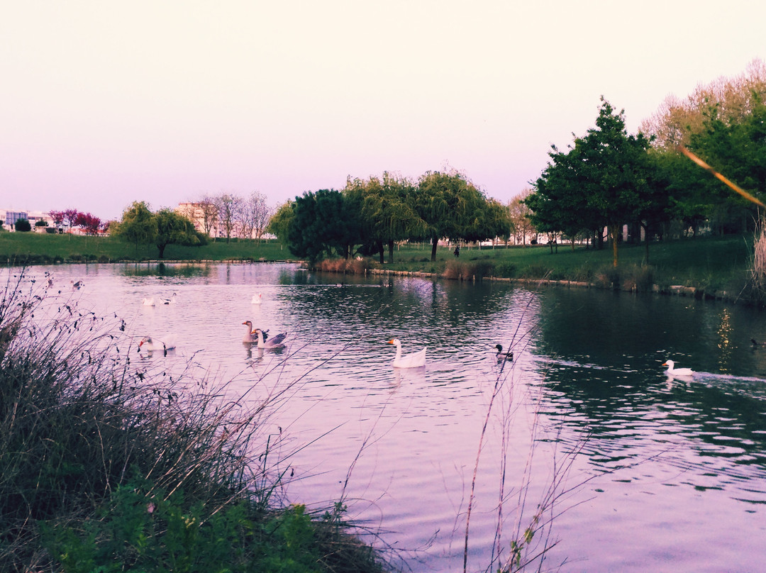 Parque da Paz景点图片