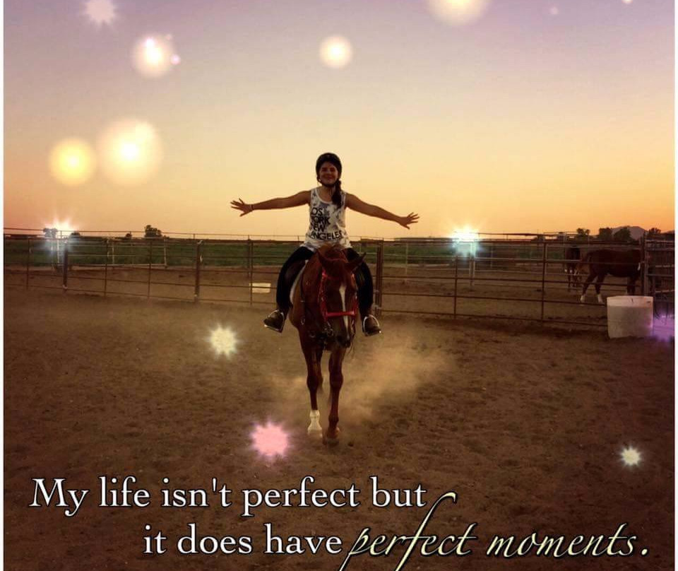 Arabians and More-Litchfield Park必去景点