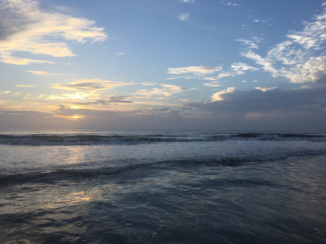New Smyrna Beach Area Visitors Bureau景点图片