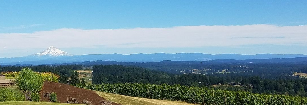 Pete’s Mountain Vineyard & Winery-West Linn必去景点