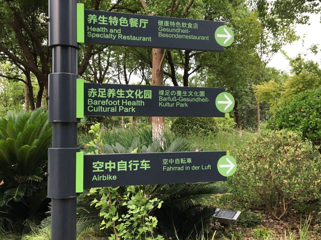 金仓湖公园-太仓市必去景点