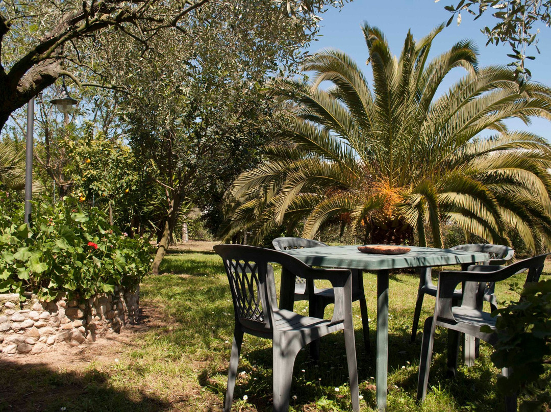 San Tommaso Tre Archi酒店住宿-B&B Il Boschetto