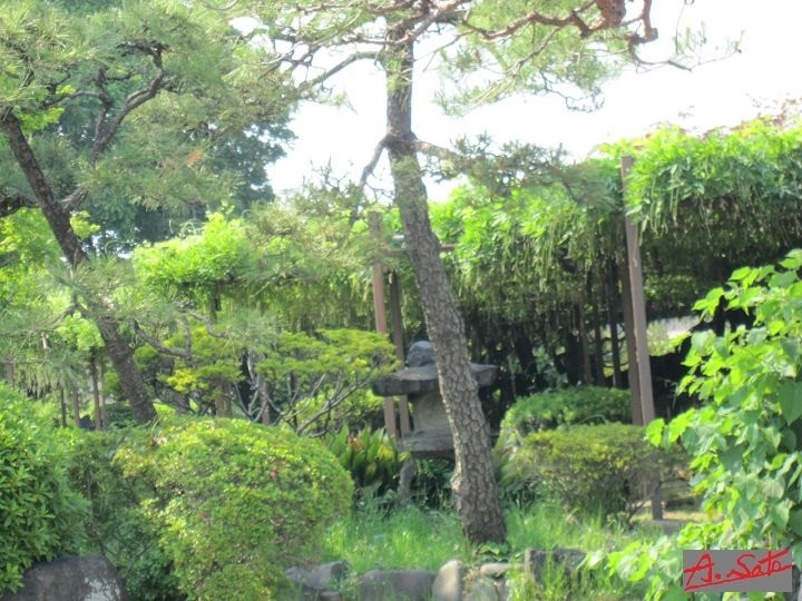 Suga Garden景点图片