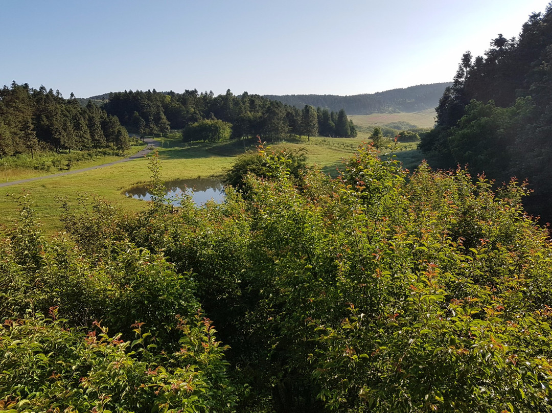仙女山华邦酒店主图
