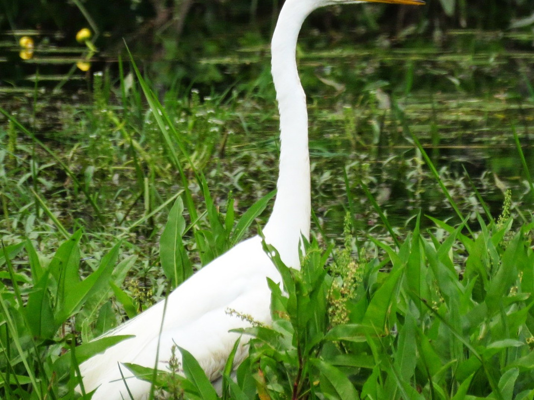 Norris Reservation-Norwell必去景点