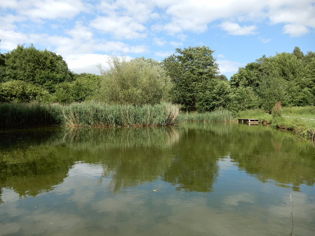 Caldy Nature Park-切斯特必去景点