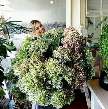 Flowers In A Vase-Woodend必去景点