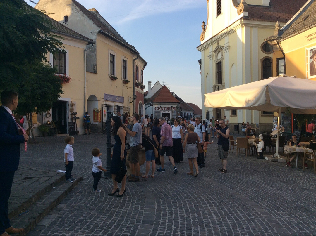 Szentendre Aquarium and Terrarium House景点图片