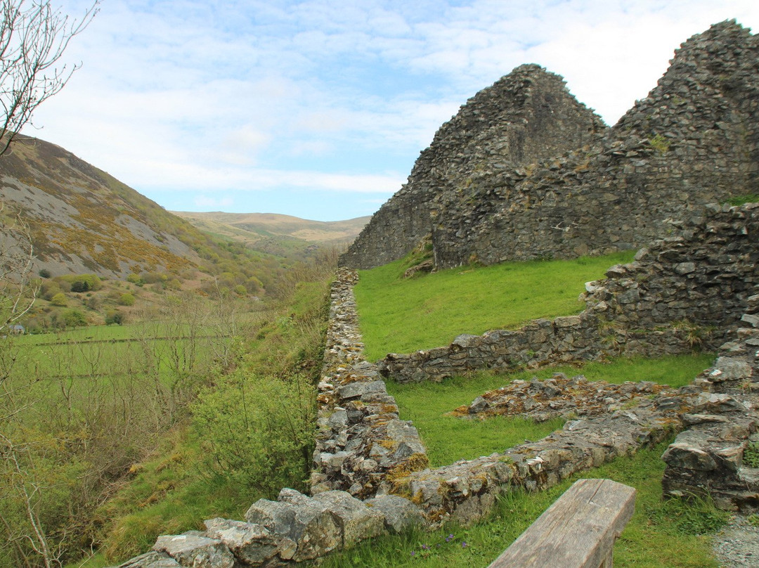 Tal-y-llyn旅游攻略图片