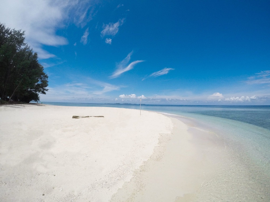 Dolphin Karimunjawa-卡里蒙加瓦必去景点