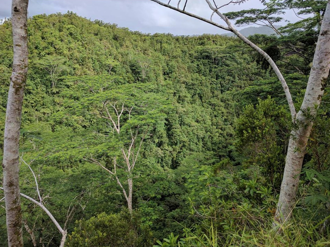 Mount Matavanu Crater-萨瓦伊岛必去景点