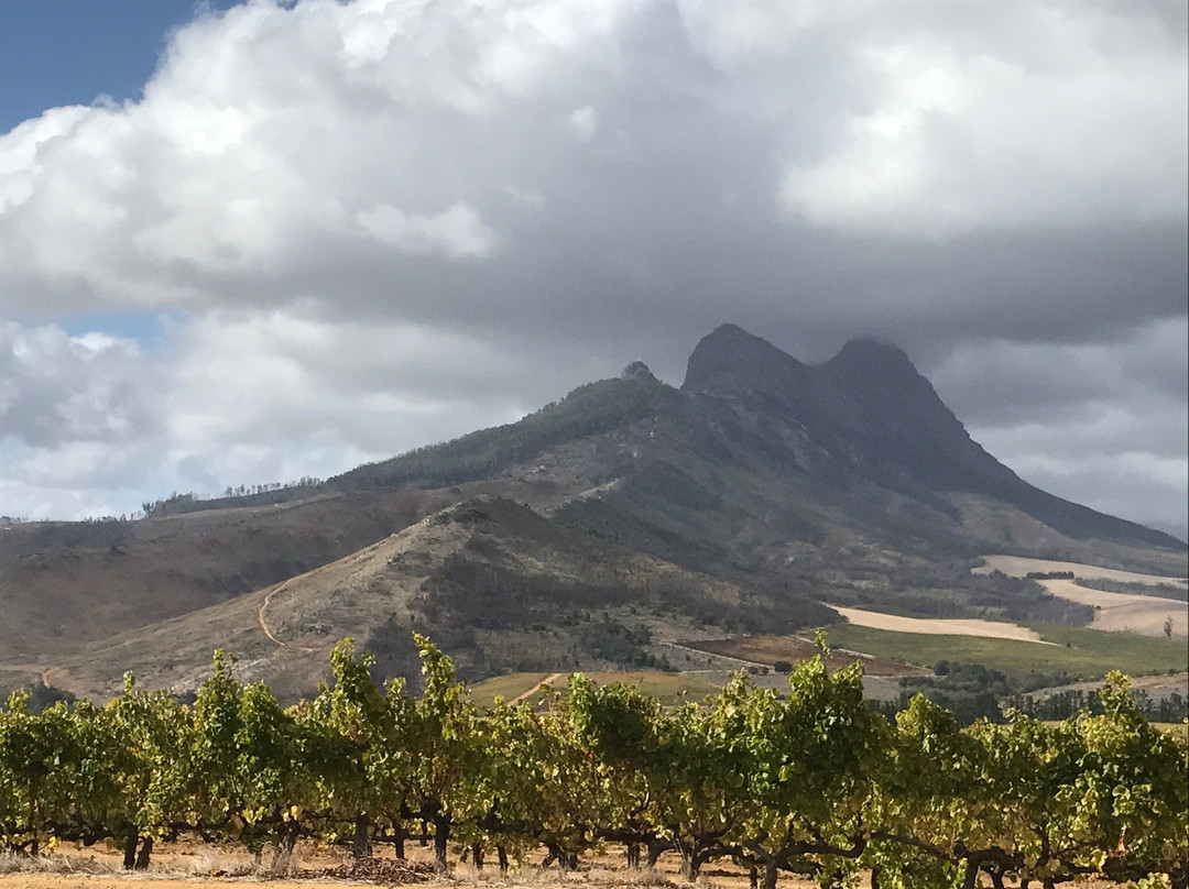 Dirtopia-斯泰伦博斯必去景点