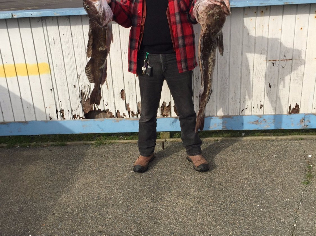 Pacific Charter Services-Charleston必去景点