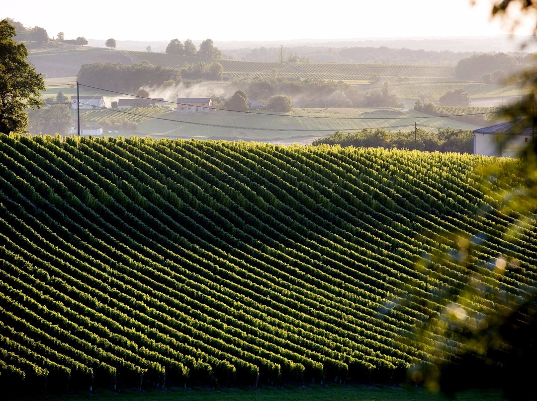Chateau Thenac-Thenac必去景点
