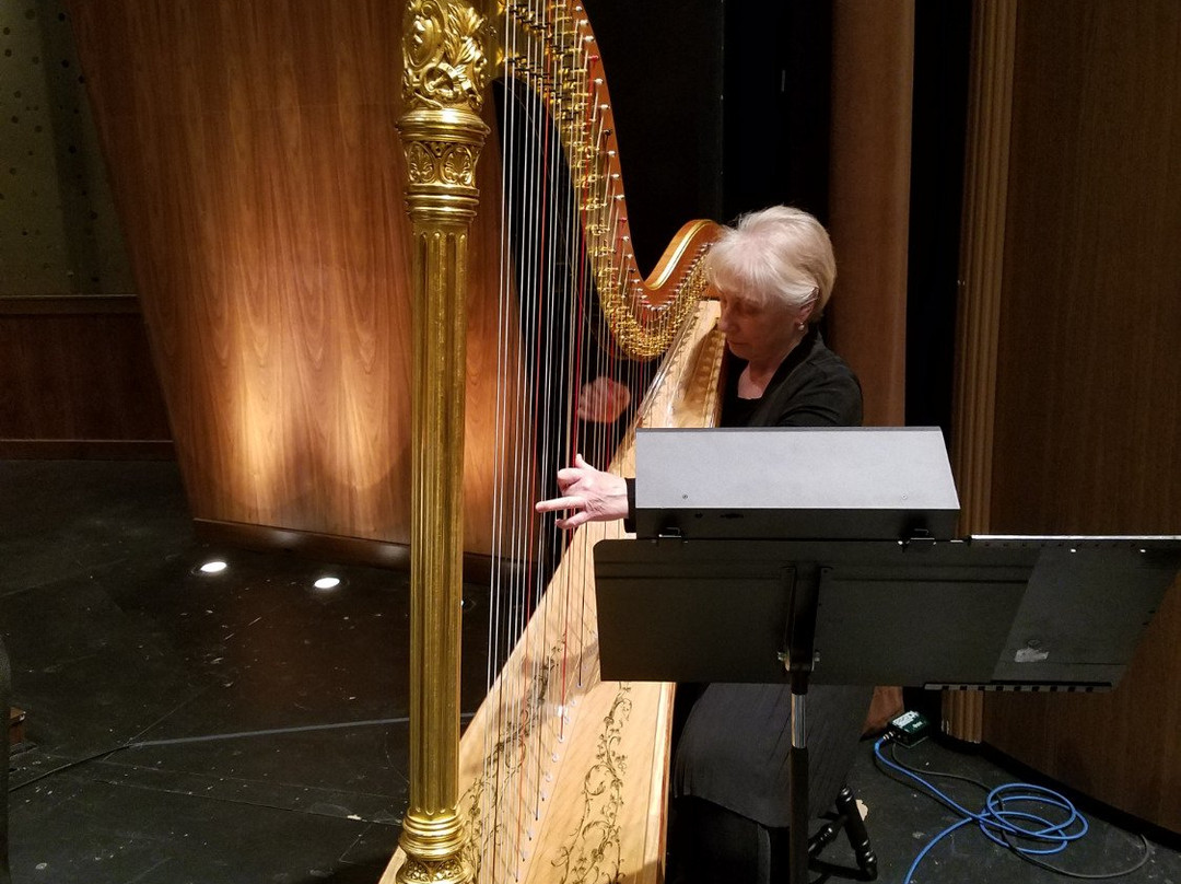 Parker Symphony Orchestra景点图片