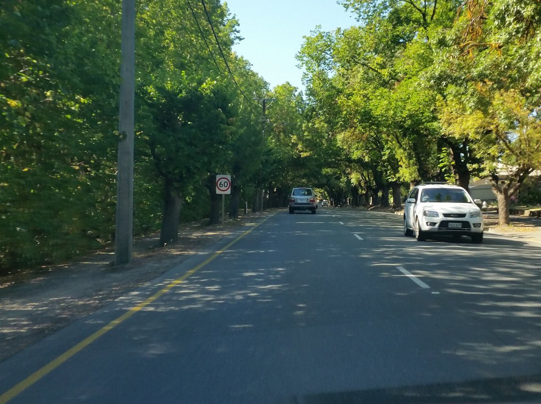 Adelaide Hills Visitor Information Centre-汉道夫德国村必去景点