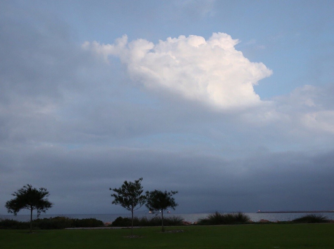 Esperance Foreshore景点图片