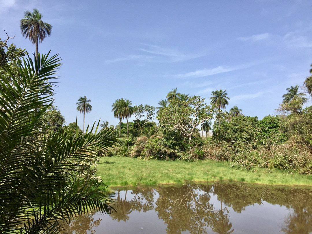 Best Bird Watching Gambia-Bijilo必去景点