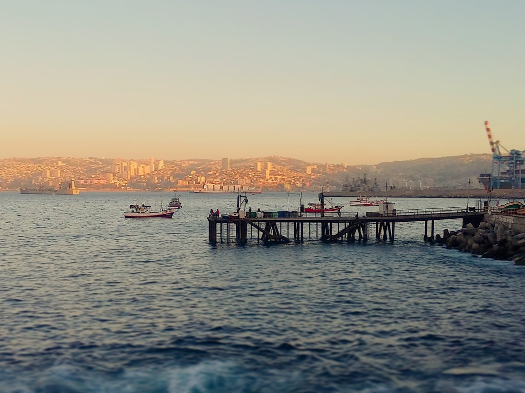 Playa Ancha Hill-瓦尔帕莱索必去景点