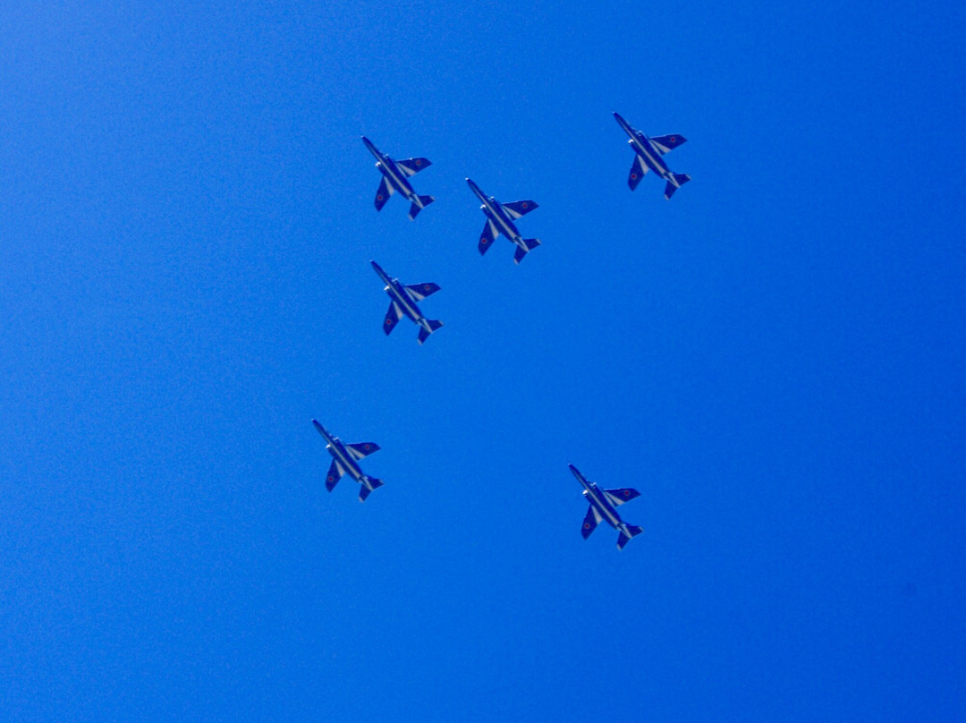 Sai-no-mori Iruma Park-入间市必去景点