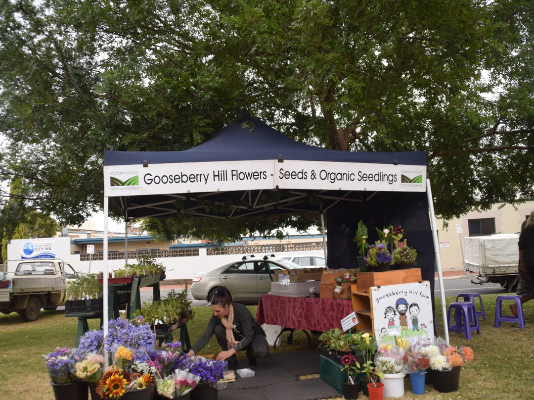 Victor Harbor Farmers Market-维克多港必去景点