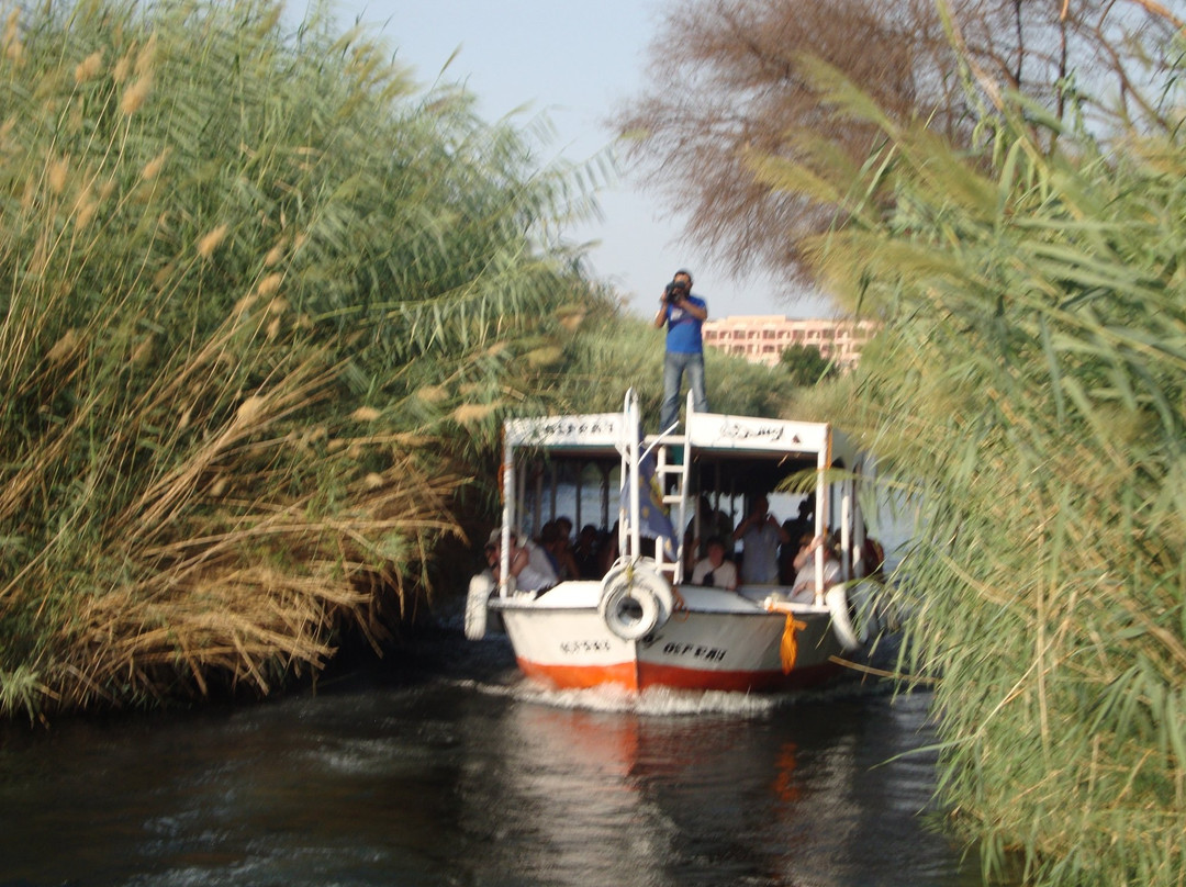 Nile Holiday- Day Tours-亚斯文必去景点