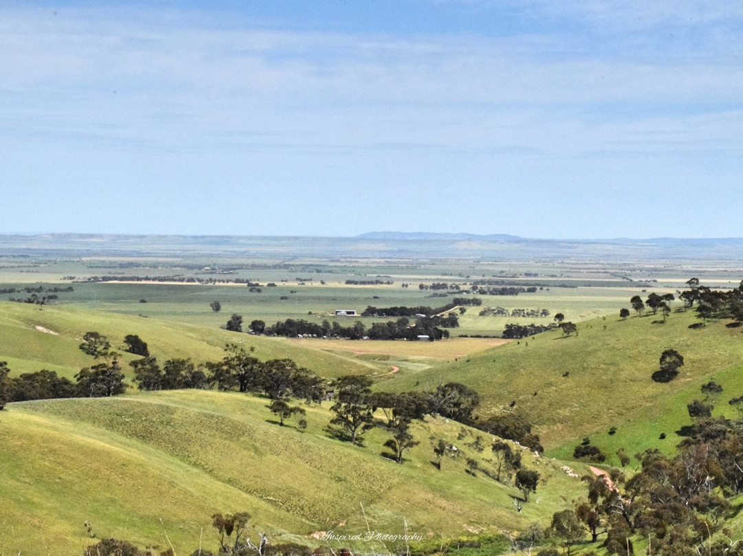 Sevenhill旅游攻略图片