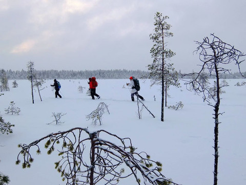 OS Retkipalvelut-奥卢必去景点