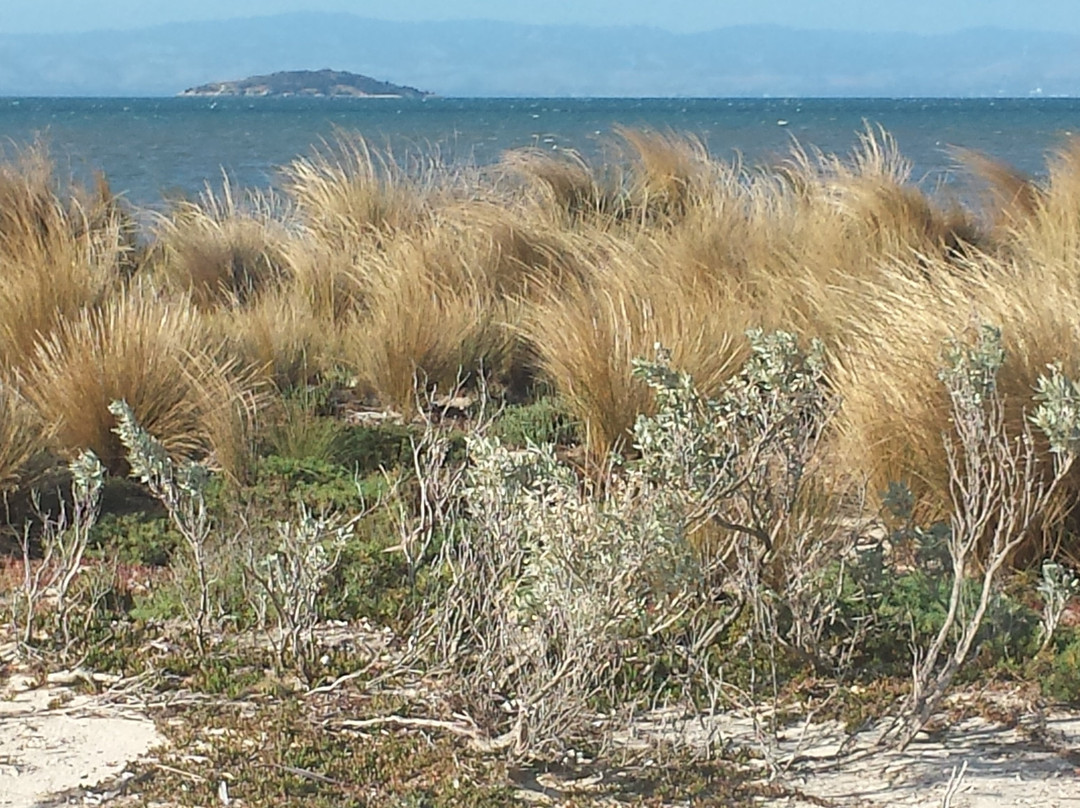 Yanakie/Duck Point Loop-Yanakie必去景点