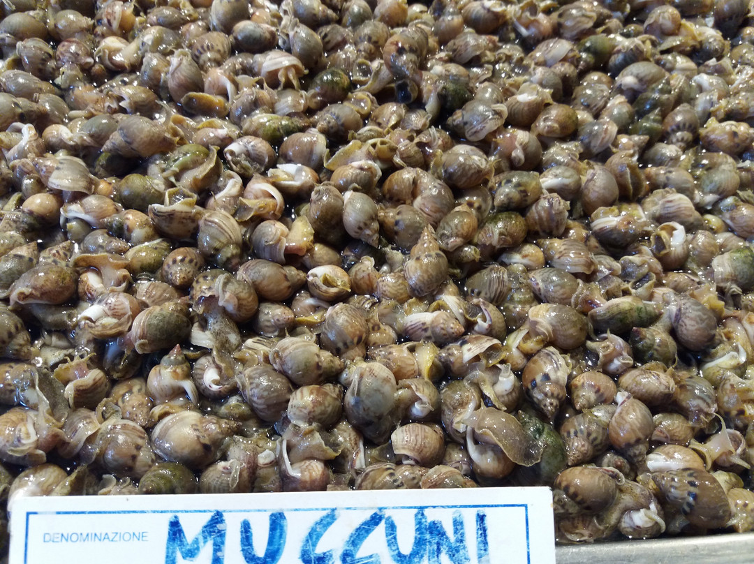 Streaty-卡塔尼亚必去景点