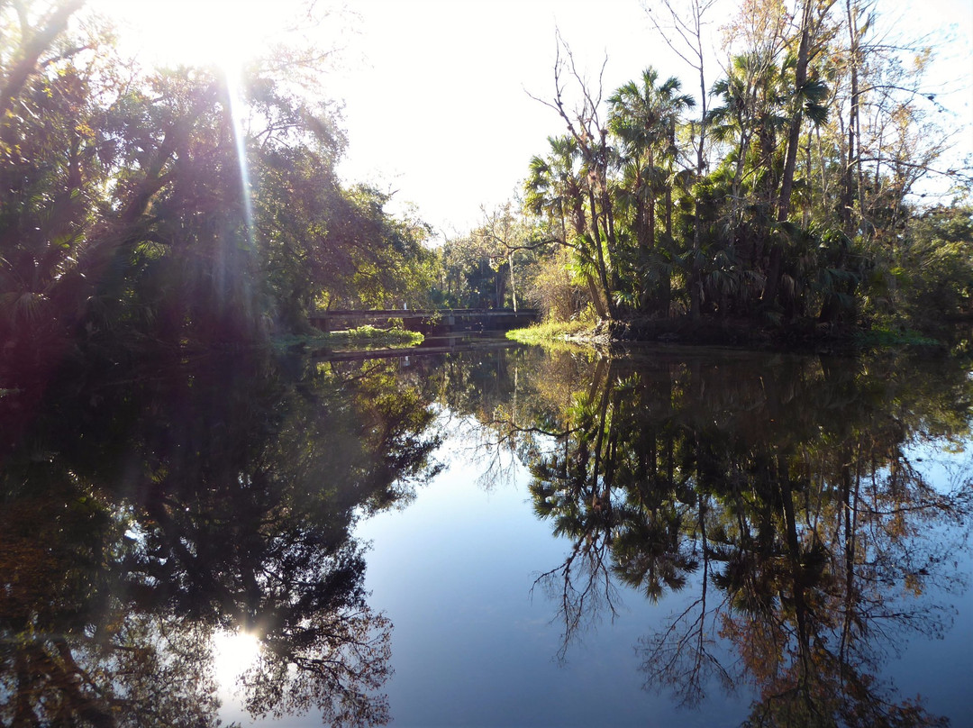 Seminole State Forest景点图片