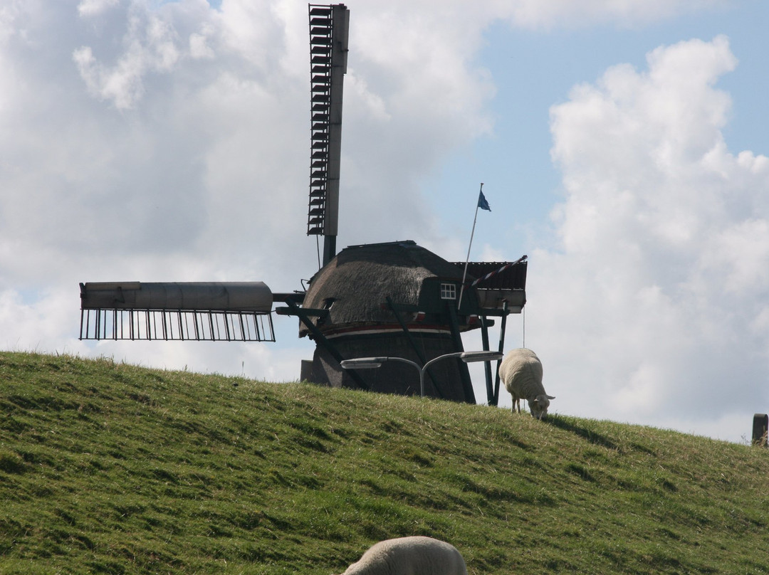 Texeltours-Oudeschild必去景点