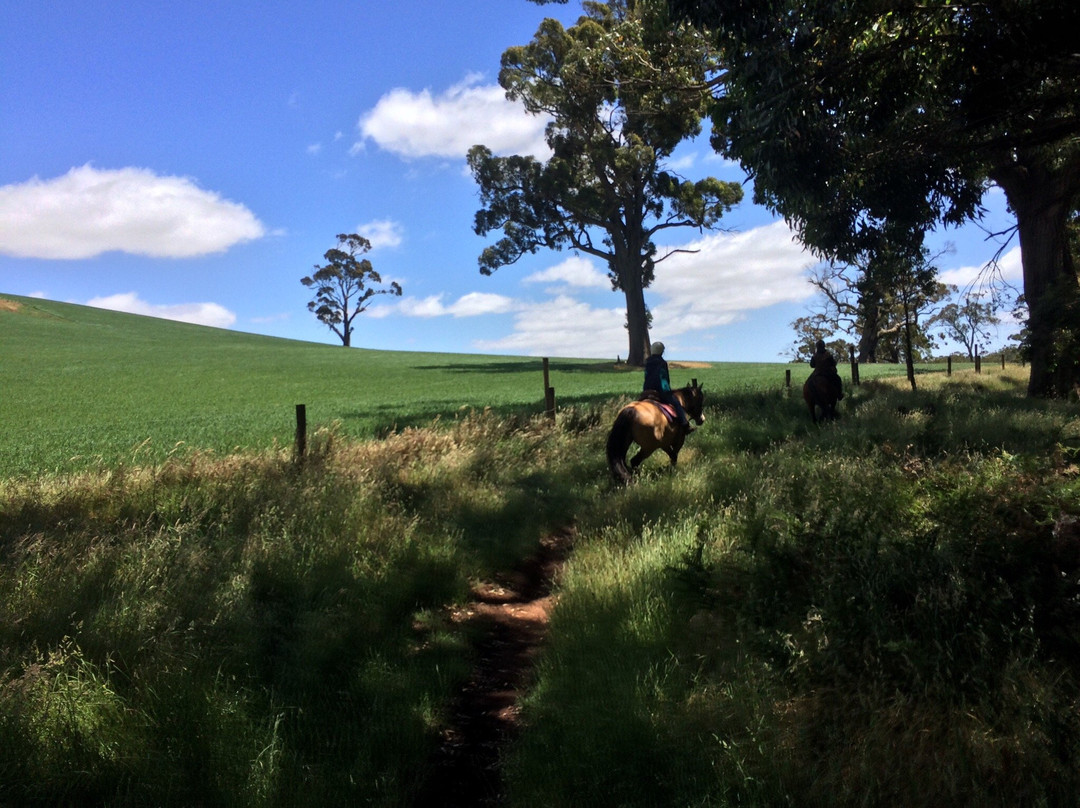 Hepburn Lagoon - Trail Rides-Hepburn Springs必去景点