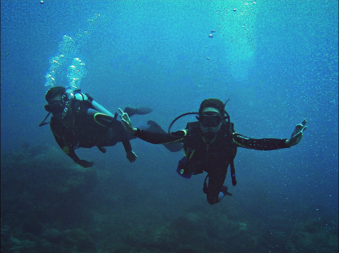 Caribbean Diving-位于塔甘加必去景点