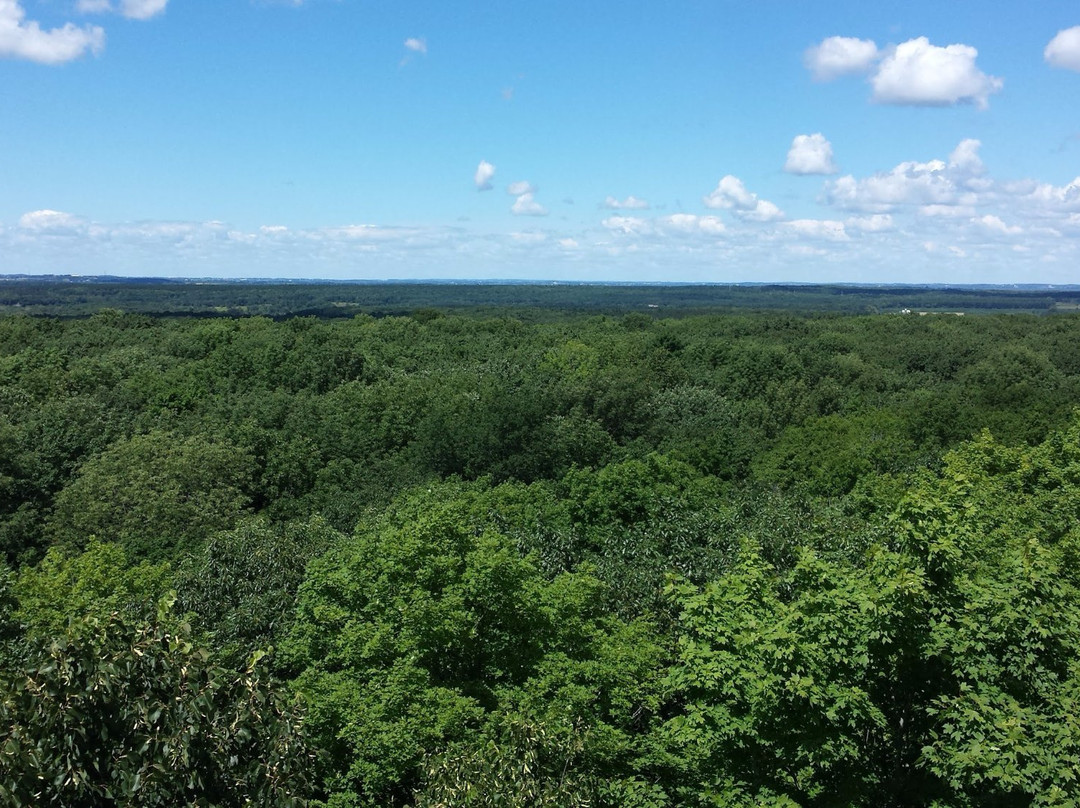 Kettle Moraine State Forest景点图片
