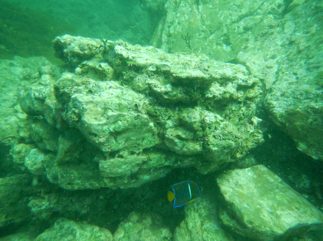 Escuela de Buceo Proyecto Azul景点图片