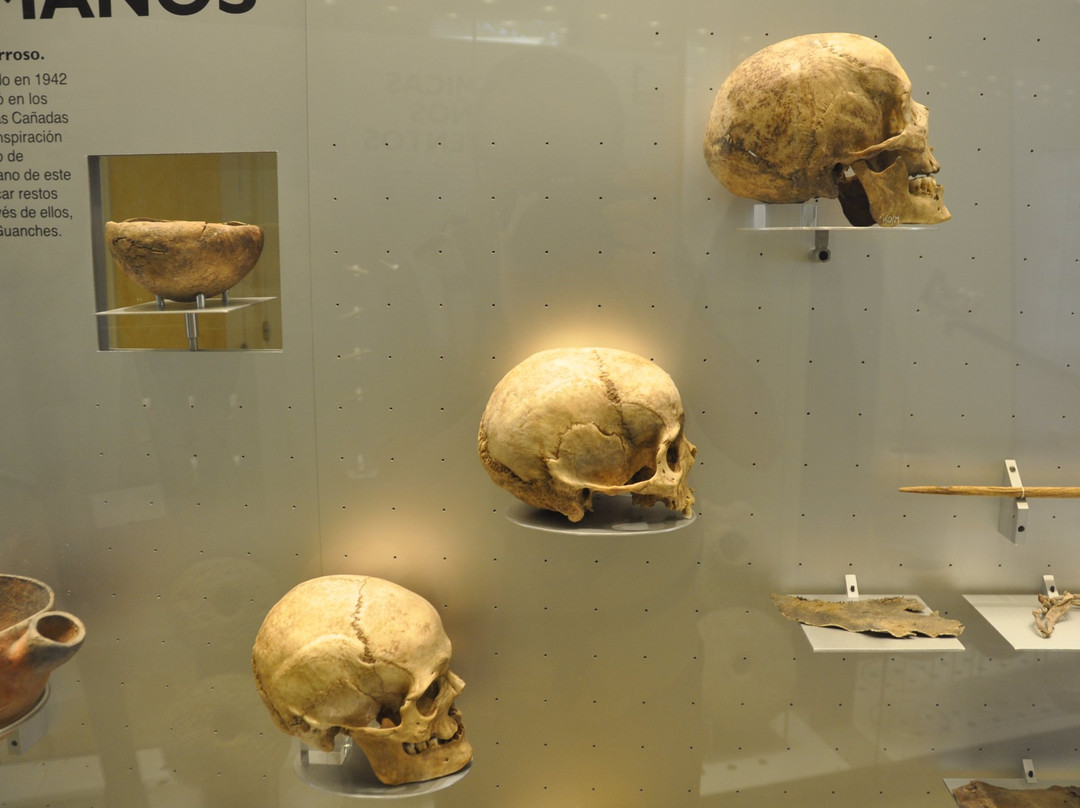 Museo de Historia y Antropologia de Tenerife-拉古纳的圣克里斯托波尔城必去景点