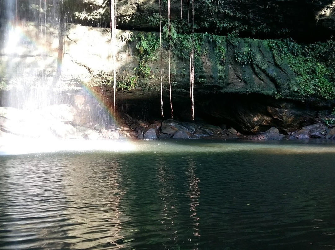 Cachoeira Ecológica景点图片
