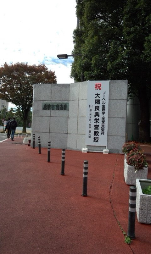 Tokyo Institute of Technology Ookayama Campus-目黒区必去景点