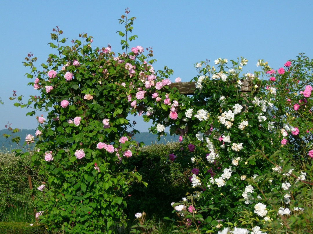 Jardin Botanique de la Presle-Nanteuil-la-Foret必去景点