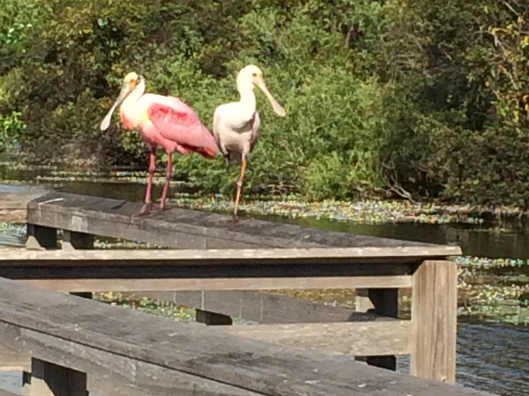 Lake Osborne-莱克沃思必去景点