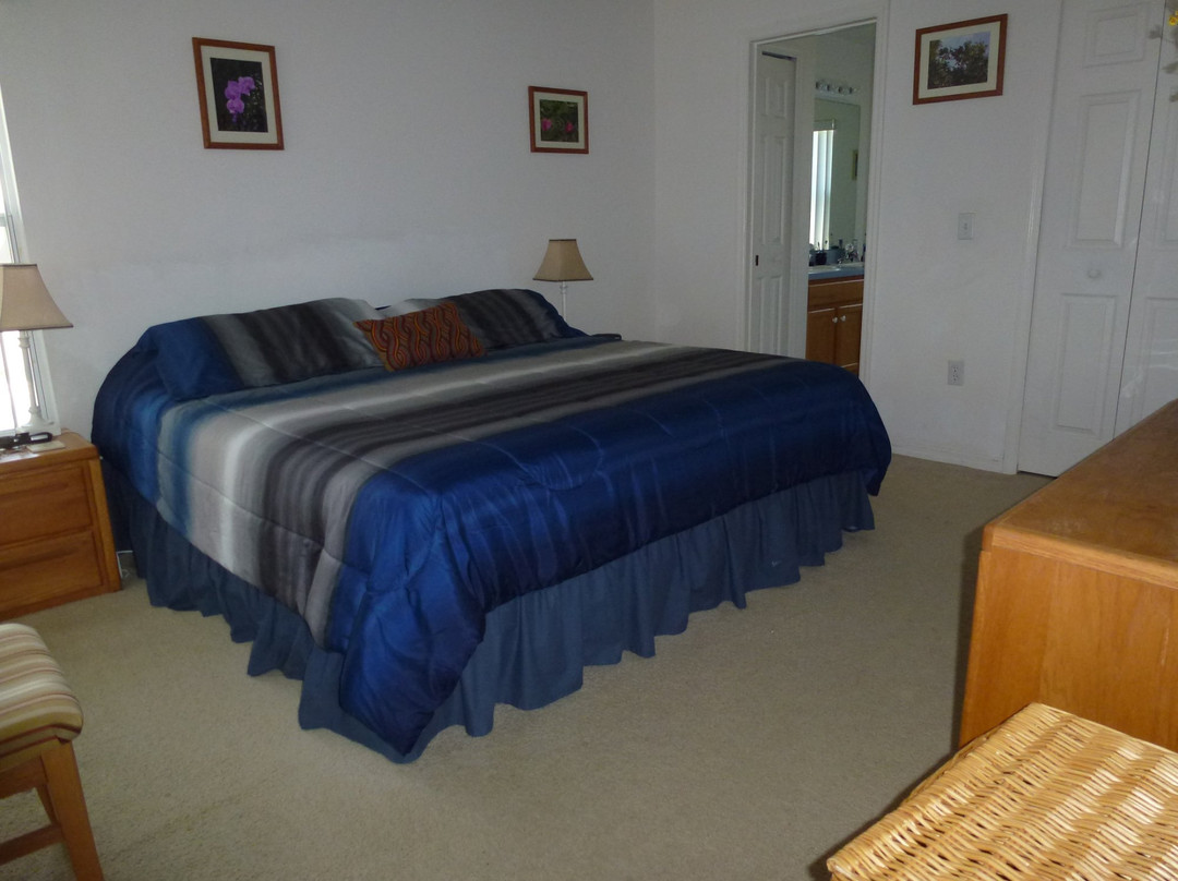Sunsplash Vacation Homes