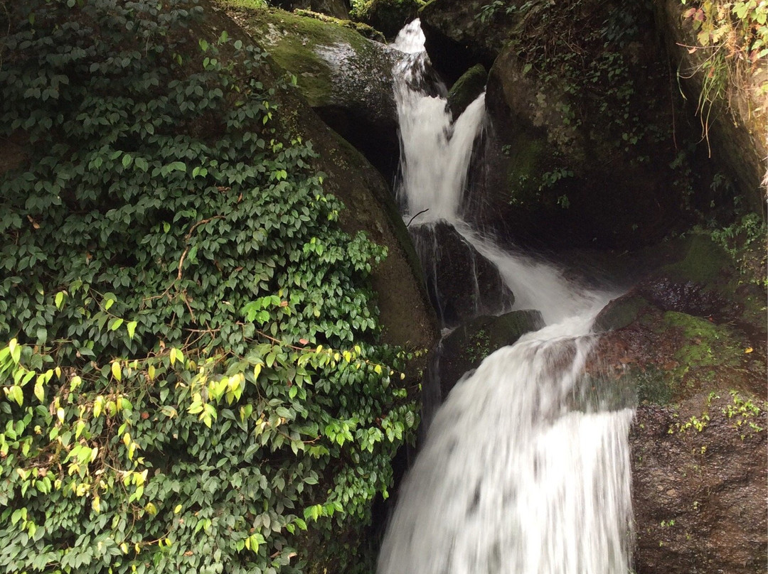 Namkha Khyung Dzong Rigdin Choling Monastery-加德满都必去景点