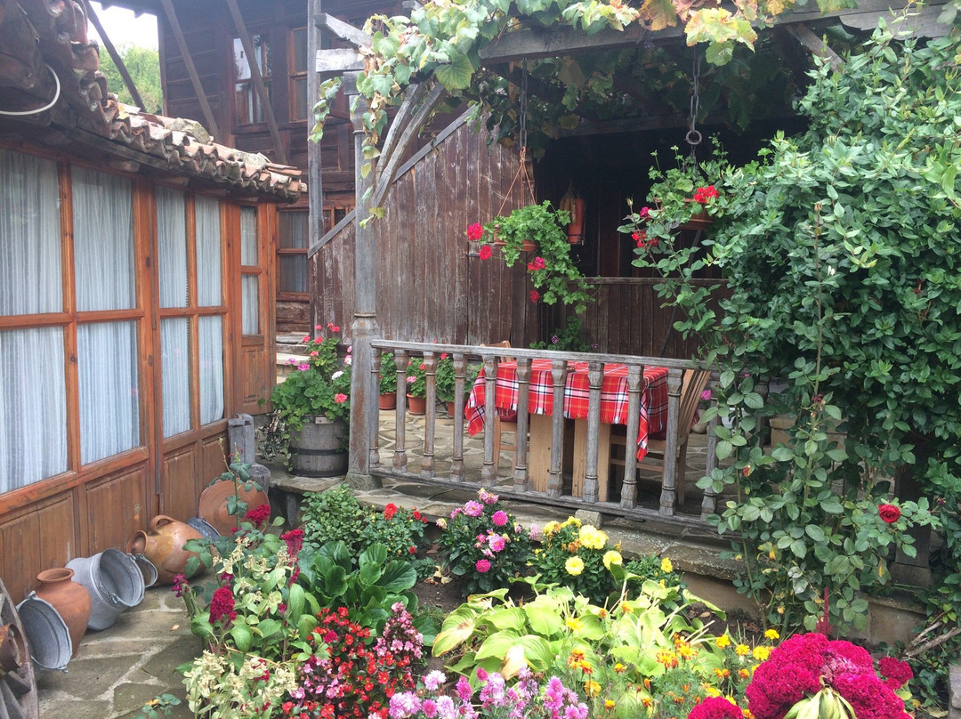 IV Guest House