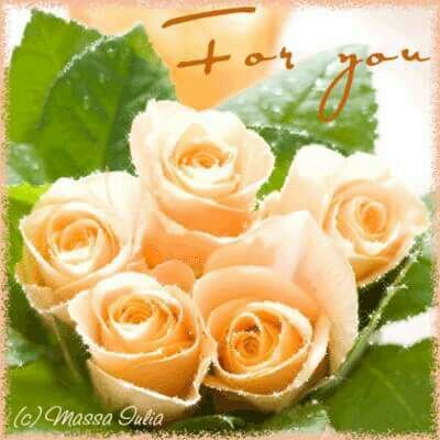 Saladin Hotel & Hostel-官方